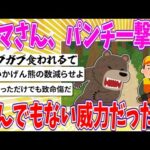 【2chまとめ】クマさん、パンチ一撃がとんでもない威力だった…【ゆっくり】