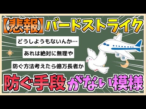 【2chまとめ】【悲報】バードストライク、防ぎようがない模様【ゆっくり実況】